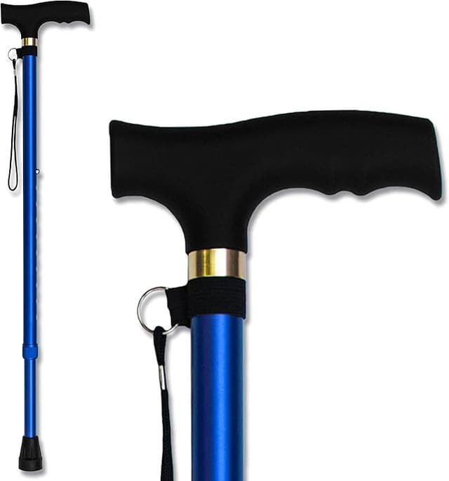 Cane Tool 1